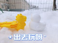 -西岭雪山大飞水景区