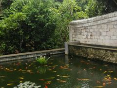 android_upload_pic-三亚亚龙湾五号度假别墅酒店