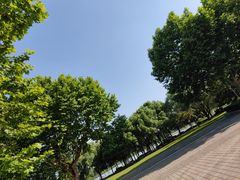 -东华大学(松江校区)