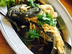 -真浪大家乐海鲜餐馆