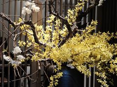 -花锦堂·隐庐