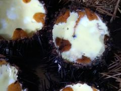 -宾朋海鲜特色美食餐厅·纯手工鲅鱼水饺(兴海路店)