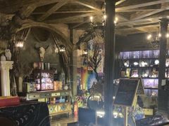 -雪灵魔法世界SHELLY’S TAROT(大良桂畔里店)