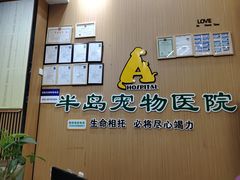-半岛宠物医院24小时·内窥镜·牙科·碎石中心(府城大道店)