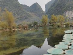 -靖西鹅泉风景区