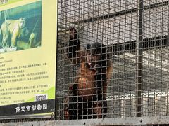 -保定市动物园