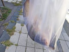 -张氏鱼庄