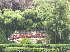 -木塔寺遗址生态公园