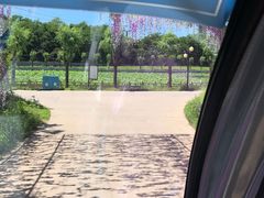 -南戴河国际娱乐中心