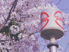 -上海外国语大学(虹口校区)