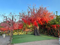 -东莞观音山旅游风景区