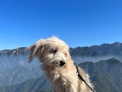 -终南山南五台景区