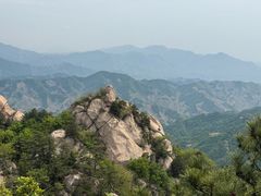 -六里坪国家森林公园