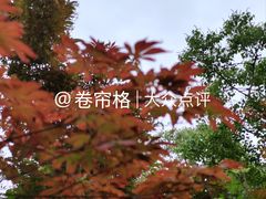 -熙盛源(苏苑街店)