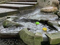 -成都市活水公园