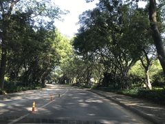 -观澜湖旅游度假区