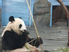 -秦皇岛野生动物园