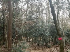 -虞山风景区