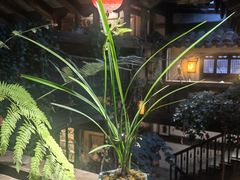 -普洱茶府(博乐广场店)