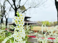 -大宁公园