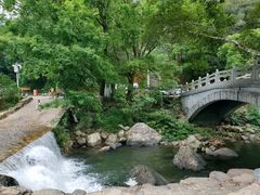 -广州市石门国家森林公园