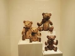 android_upload_pic-济州岛泰迪熊博物馆