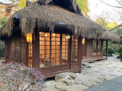 -中国茶叶博物馆(双峰馆区)