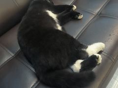 -雷鹰射击俱乐部