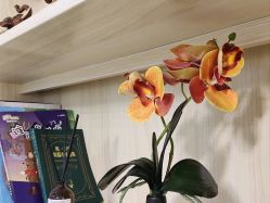 -静待花开瑜伽尊巴会馆