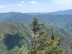 -牛背梁国家森林公园