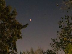 -爱德堡西餐咖啡吧(北师大店)