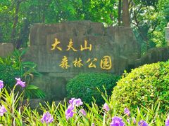 -番禺大夫山森林公园