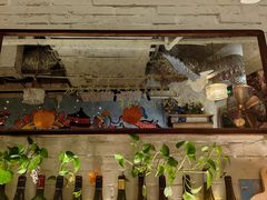 -Mesa Madre梅萨妈妈·Bintana(国贸店)