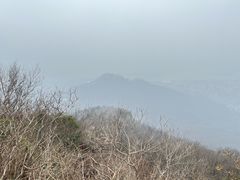 -紫金山山顶公园