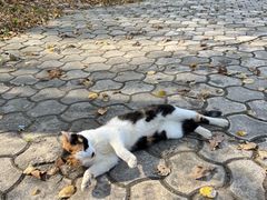 -哈尔滨北方森林动物园