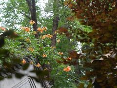 -北京大学赛克勒考古与艺术博物馆