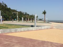 -野狸岛