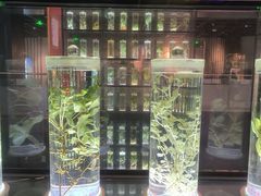 -广东中医药博物馆
