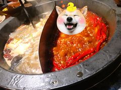 菌菇麻辣鸳鸯-蜀大侠火锅(四川北路店)