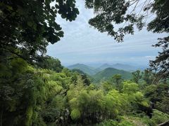 -莫干山风景区