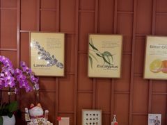 -LANN I 蘭·泰式古法按摩(高岛屋百货店)
