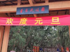 -北海金海湾红树林生态旅游区