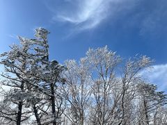 -亚布力新体委滑雪场