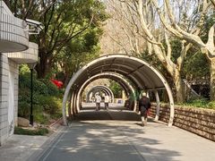 -人民公园-相亲角