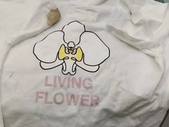 -福奈特洗衣洗鞋(温榆广场店)