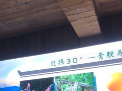 -徽三说·土徽菜·中国徽菜连锁品牌(一中店)