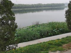 -素心小筑(后沙裕镇店)