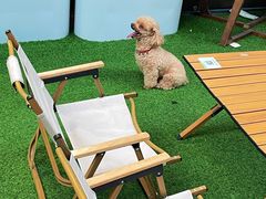 -Dough&Joe团憩(瑞虹天地月亮湾店)