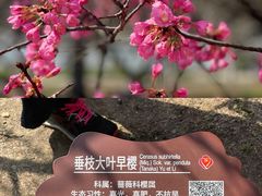 -白塘生态植物园