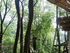 -天鹿湖森林公园
